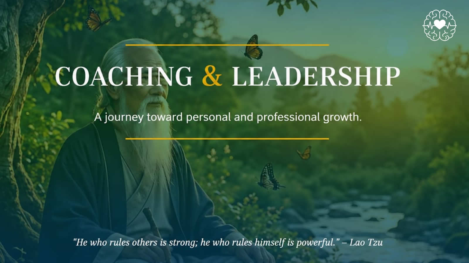 Coaching and Leadership professional course
